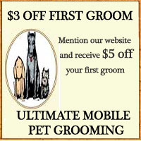 dog grooming coupon